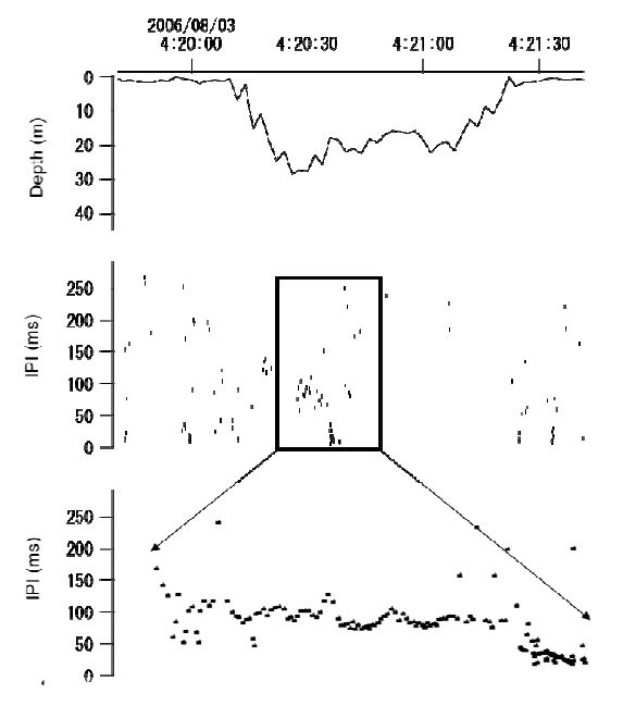 Example of a possible foraging dive. The figure shows an example of a single U- shaped dive, where interpulse (click)-intervals (IPI) are decreasing from 100 ms to 2 ms at a depth of 18 m. The lower part of the figure shows a close up of the decreasing click-intervals during a possible foraging attempt. The jagged traces in the depth curves are caused by the sampling routine of the TDR unit.