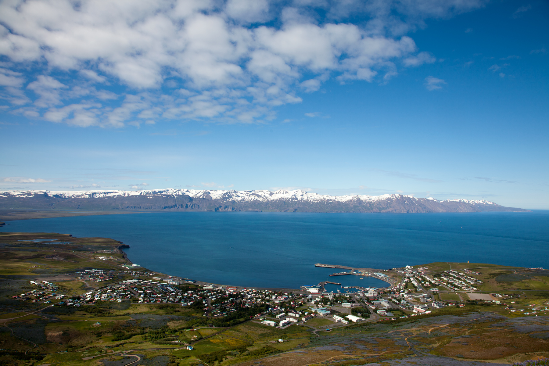 Húsavík Wildlife Iceland